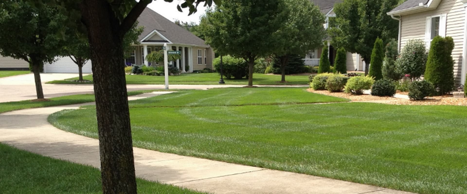 beautiful lawn and fresh clean garden bed Fresh Mowed Grass
